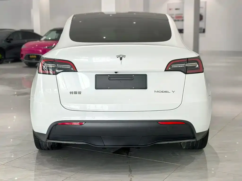 Tesla Model Y 2022 из CN, фото 5