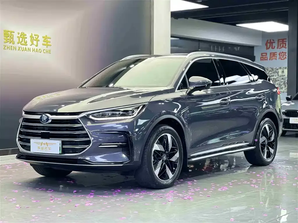 BYD Tang New Energy — фото 1