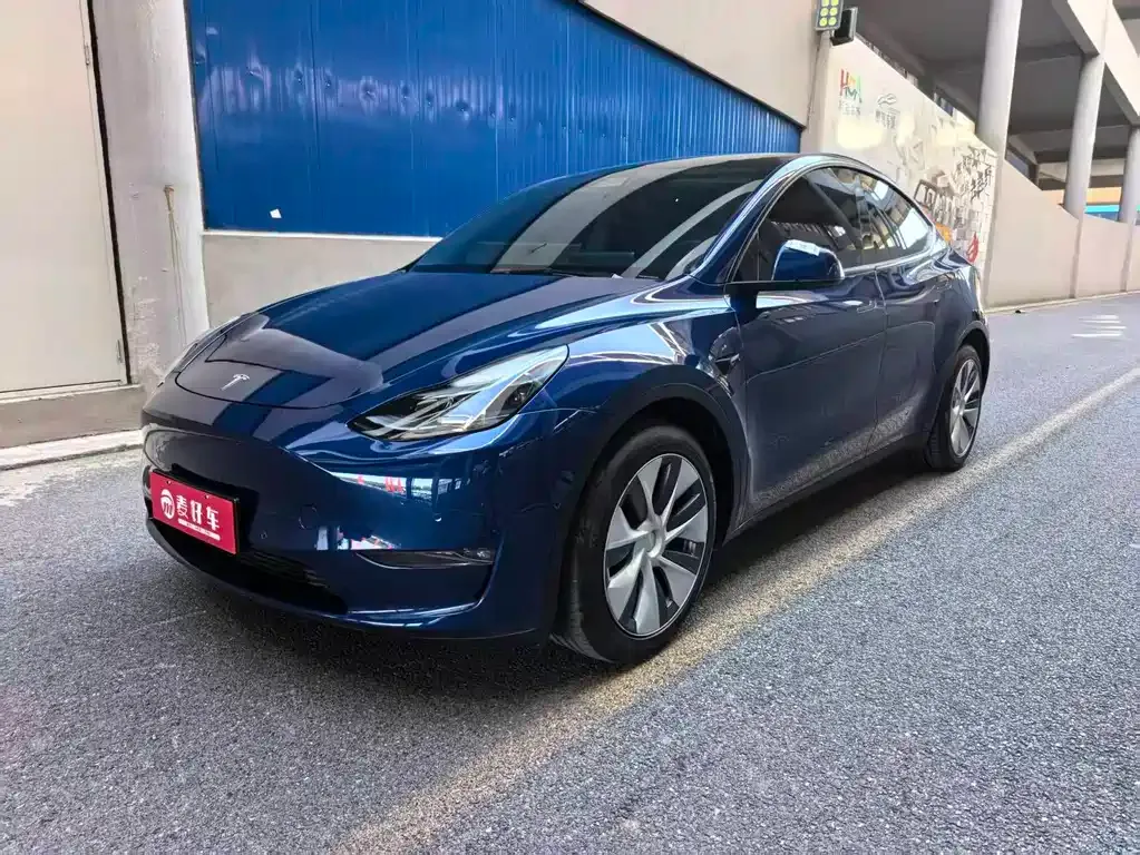 Tesla Model Y 2021 из CN, фото 1
