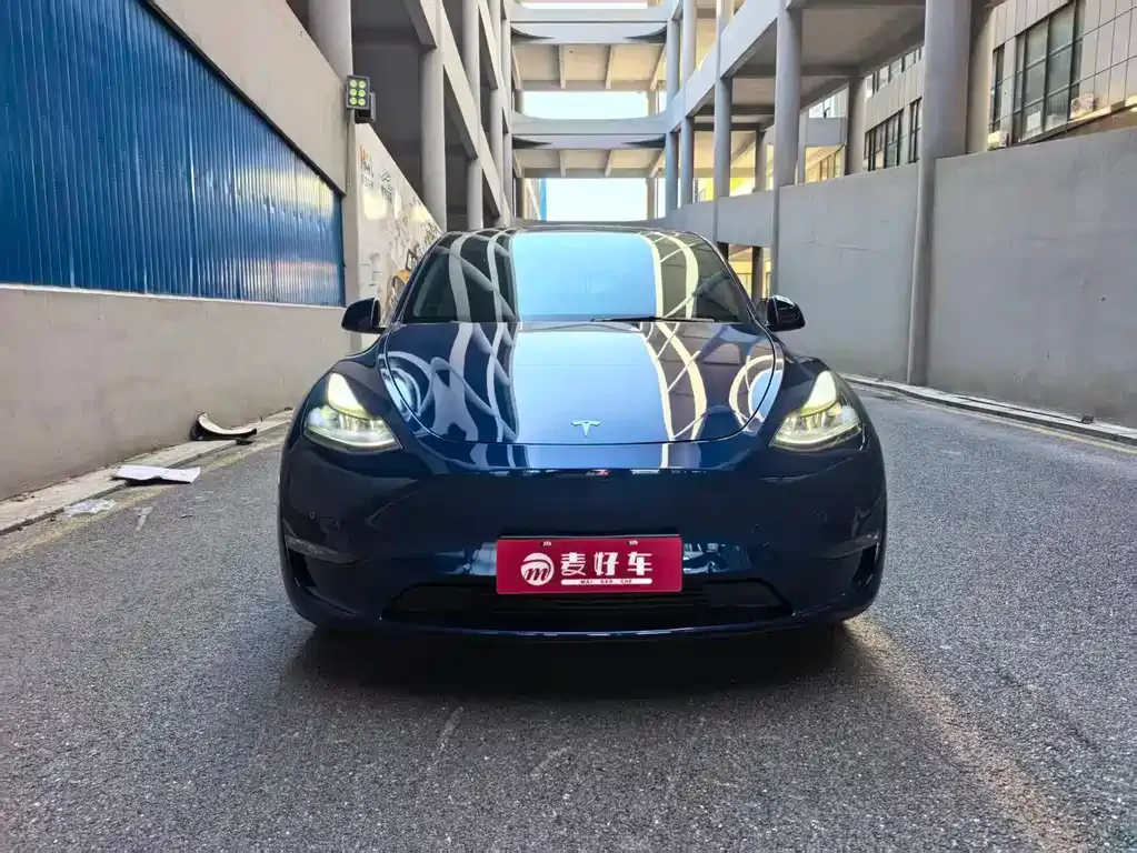 Tesla Model Y 2021 из CN, фото 2