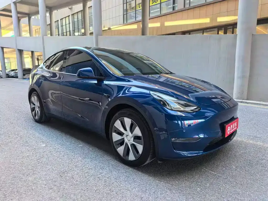 Tesla Model Y 2021 из CN, фото 3