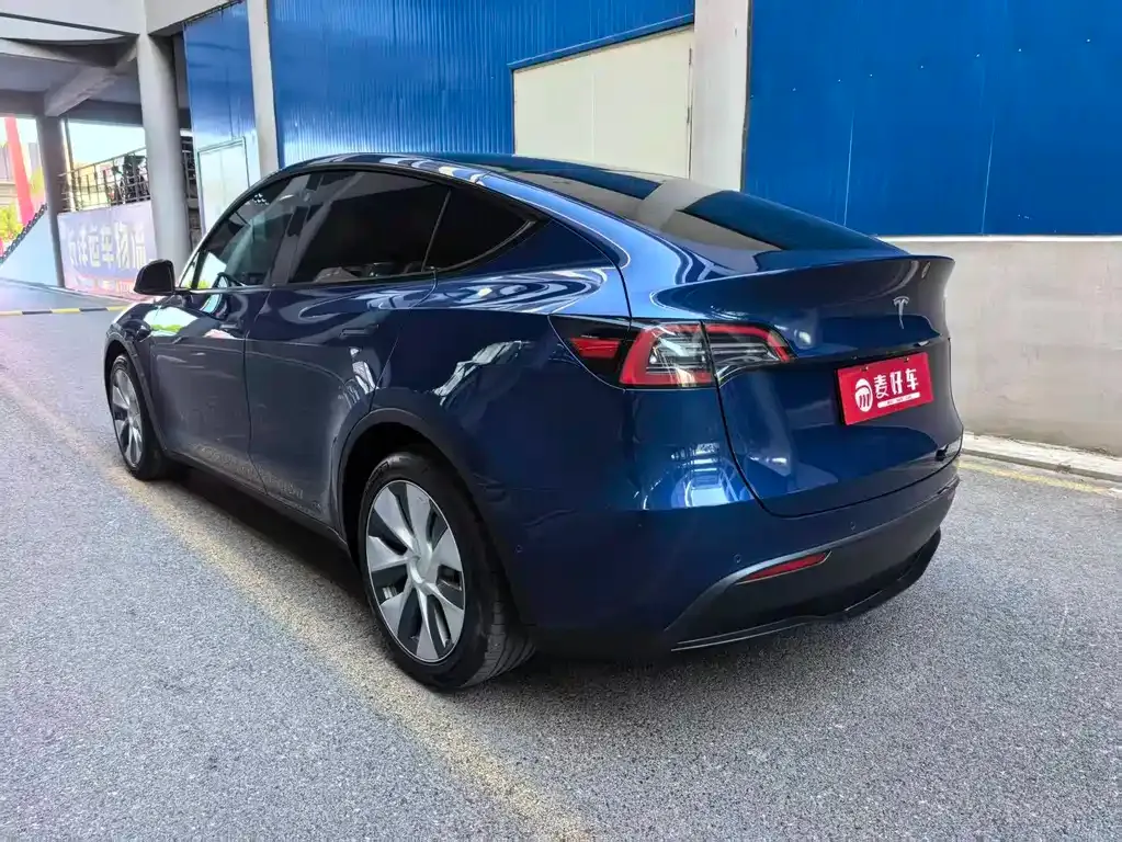 Tesla Model Y 2021 из CN, фото 4