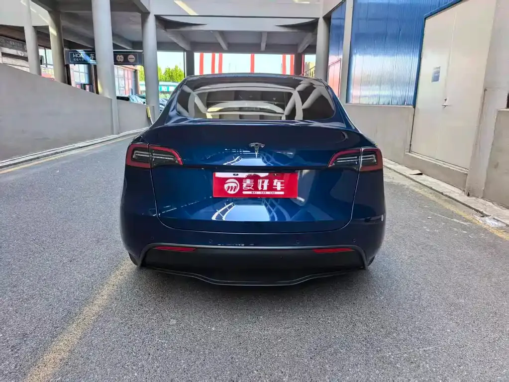 Tesla Model Y 2021 из CN, фото 5