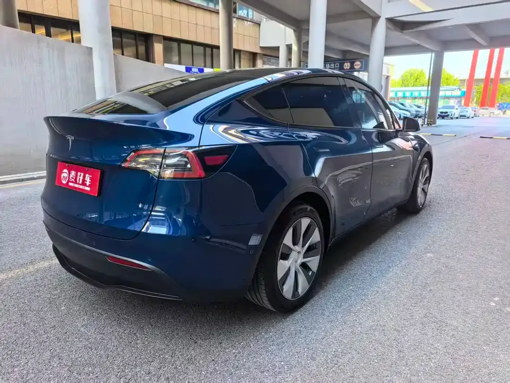 Tesla Model Y 2021 из CN, фото 6
