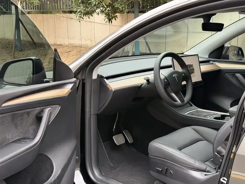 [object Object] Model Y 2023 из CN, фото 10