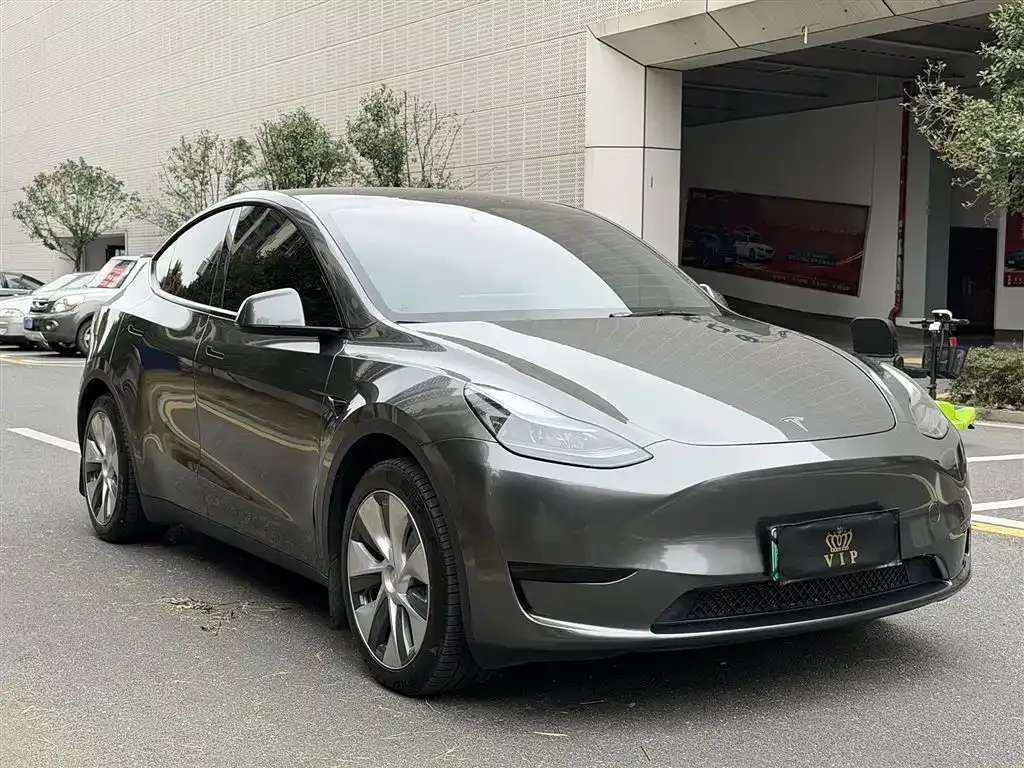 [object Object] Model Y 2023 из CN, фото 6