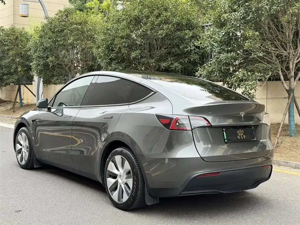 [object Object] Model Y 2023 из CN, фото 7