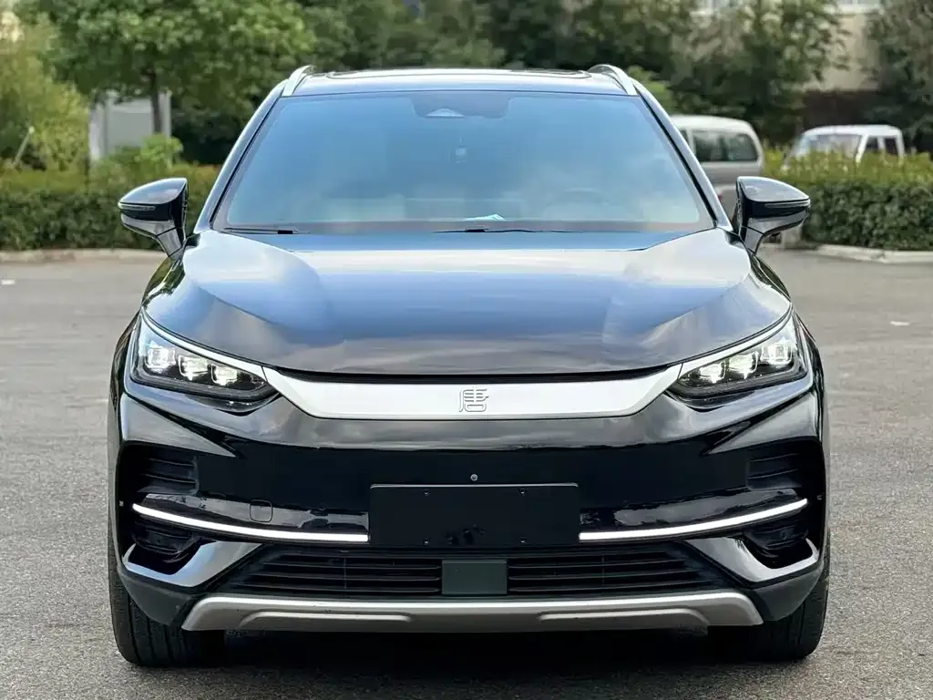 BYD Tang New Energy 2022 из CN, фото 2