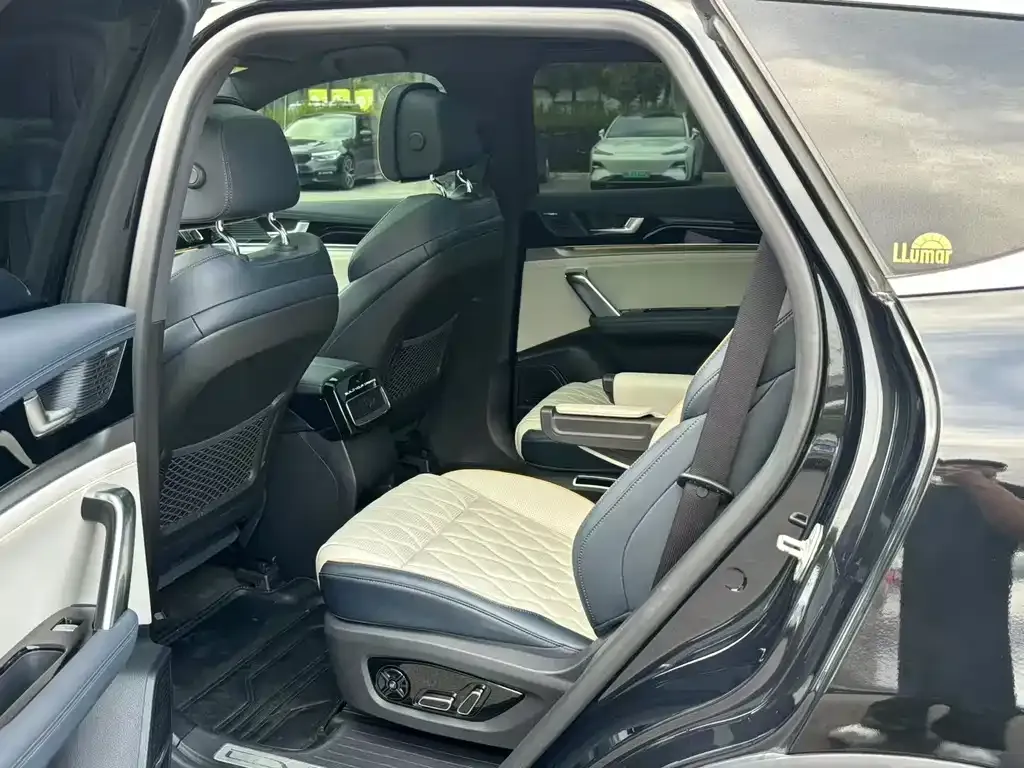 BYD Tang New Energy 2022 из CN, фото 9
