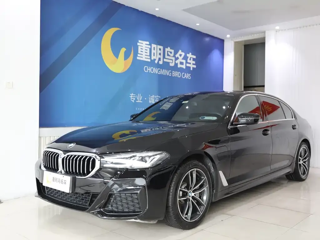 BMW 5 Series New Energy 2021 из CN, фото 1