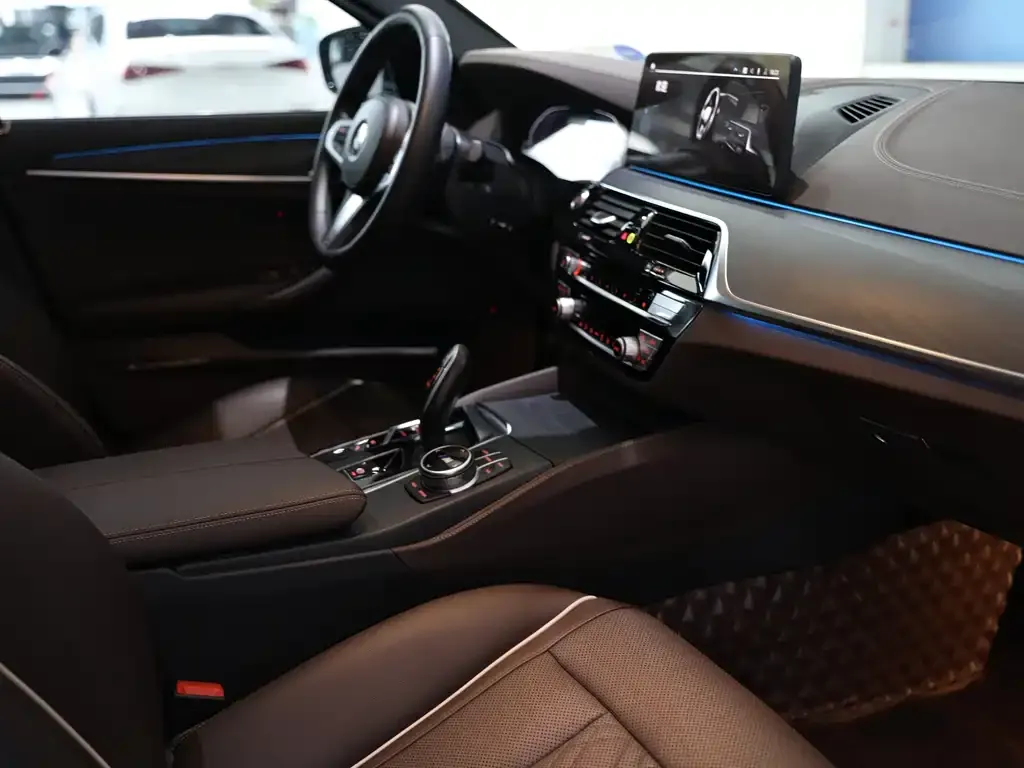 BMW 5 Series New Energy 2021 из CN, фото 10