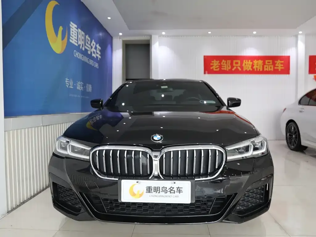 BMW 5 Series New Energy 2021 из CN, фото 2