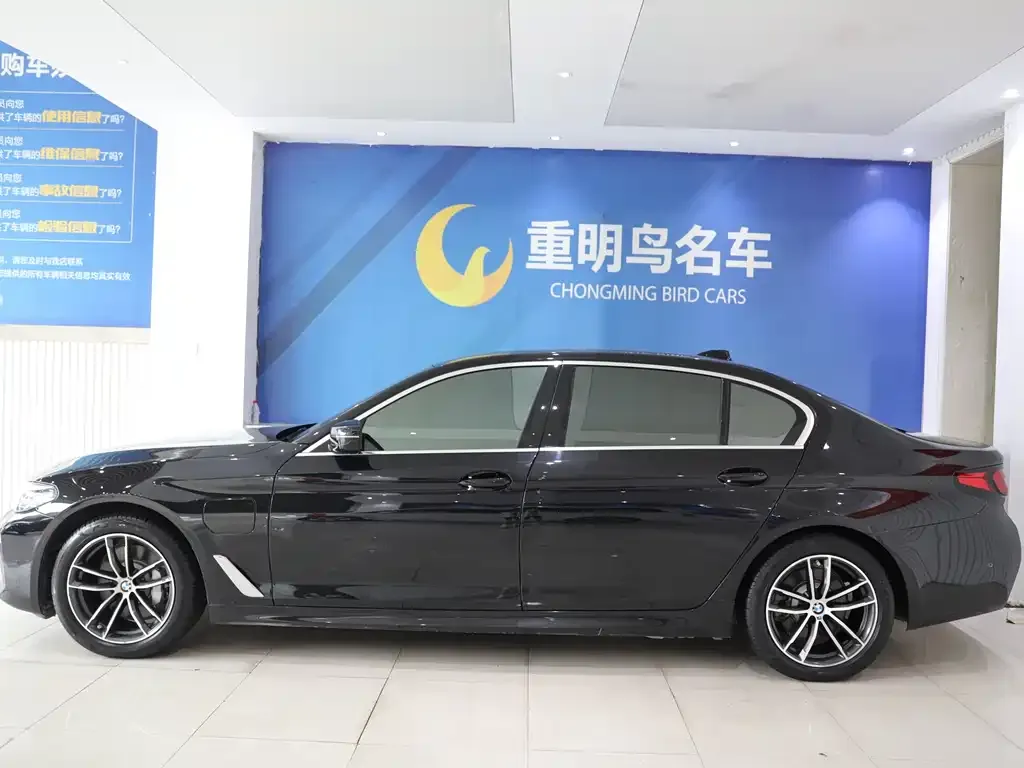 BMW 5 Series New Energy 2021 из CN, фото 3