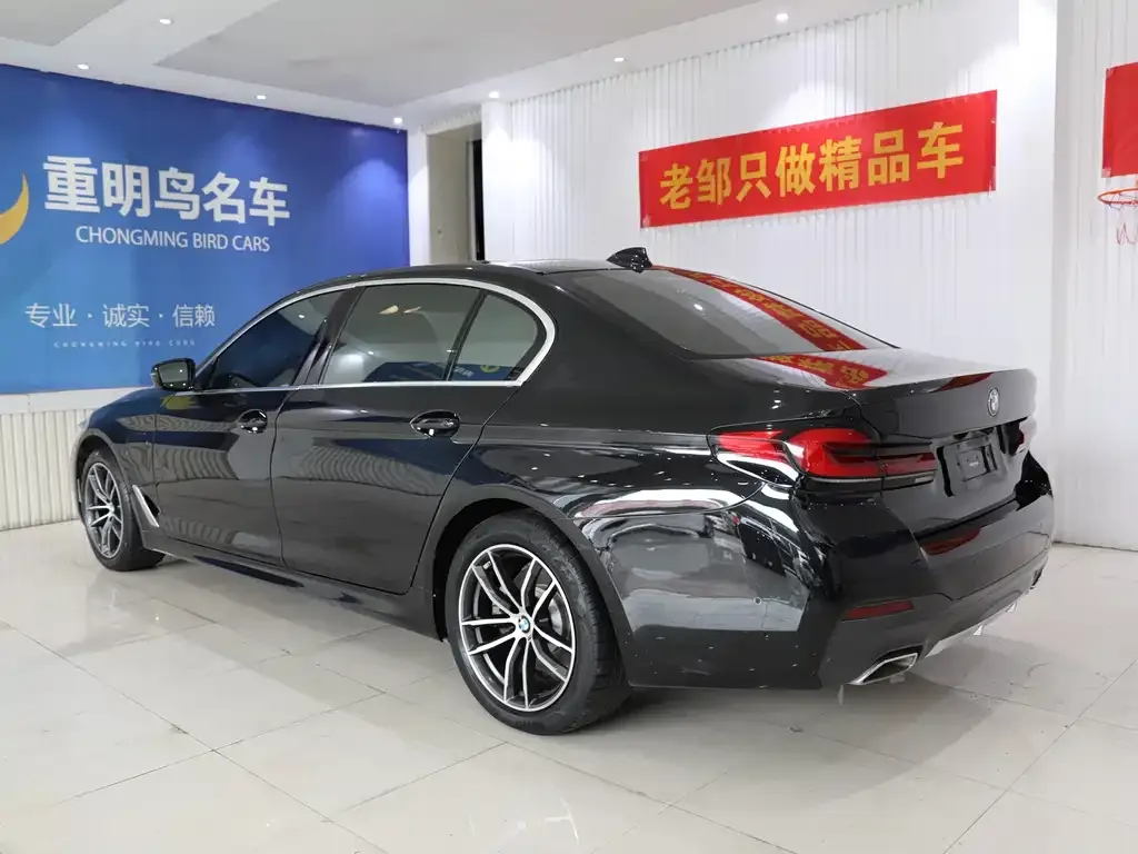 BMW 5 Series New Energy 2021 из CN, фото 4