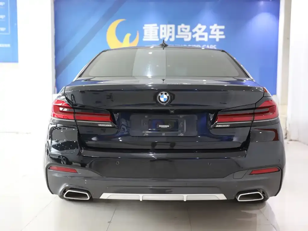 BMW 5 Series New Energy 2021 из CN, фото 5