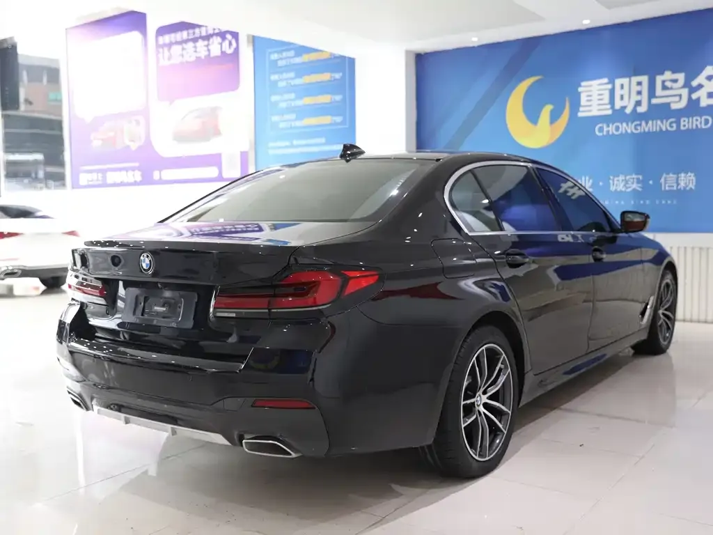 BMW 5 Series New Energy 2021 из CN, фото 6