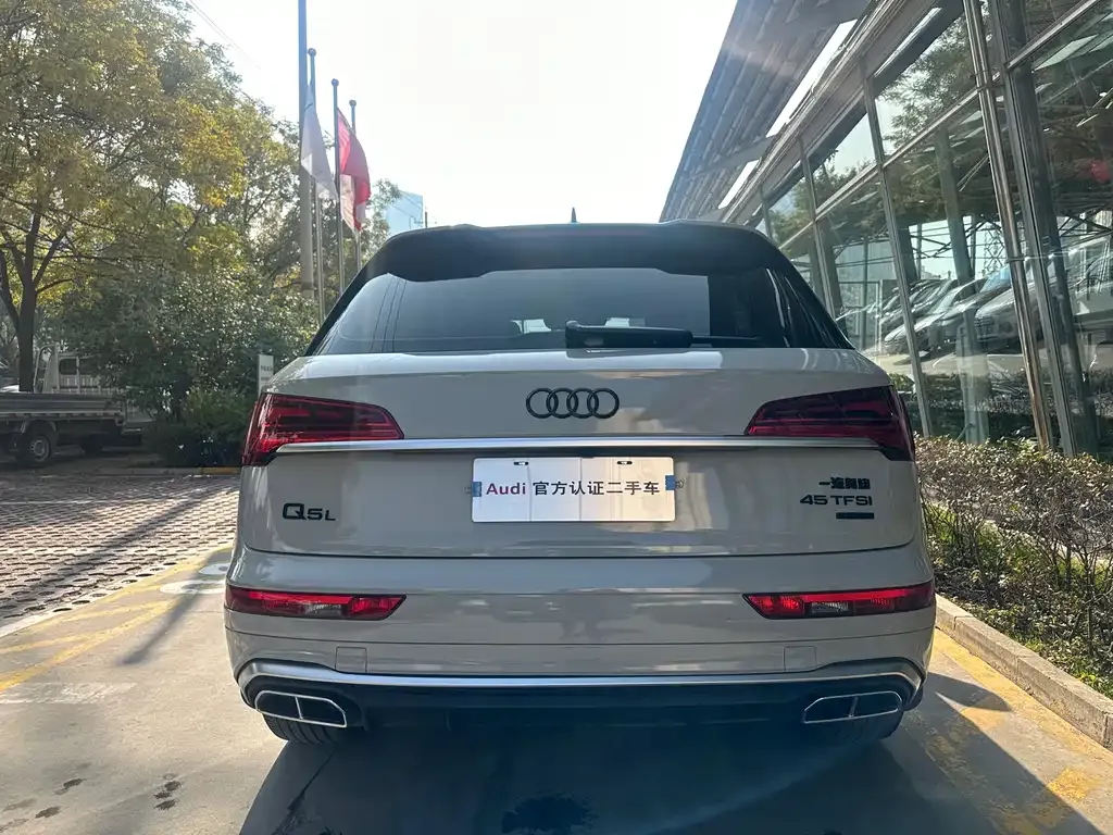 Audi Q5L 2023 из CN, фото 9