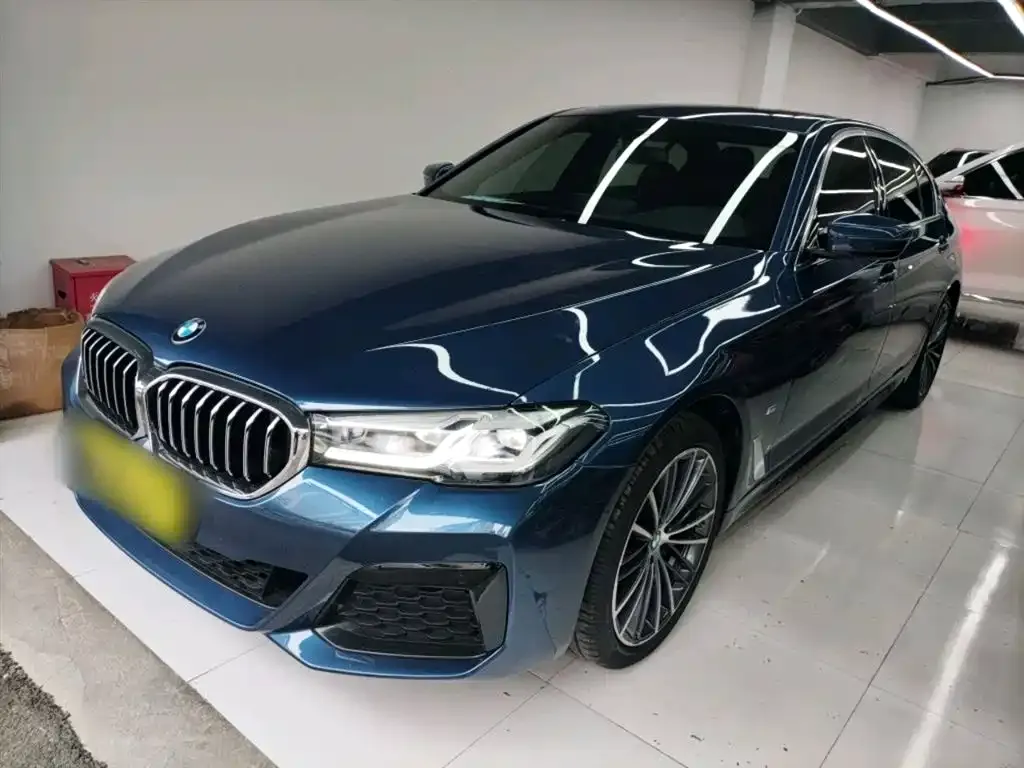 BMW 5 Series 2022 из CN, фото 3