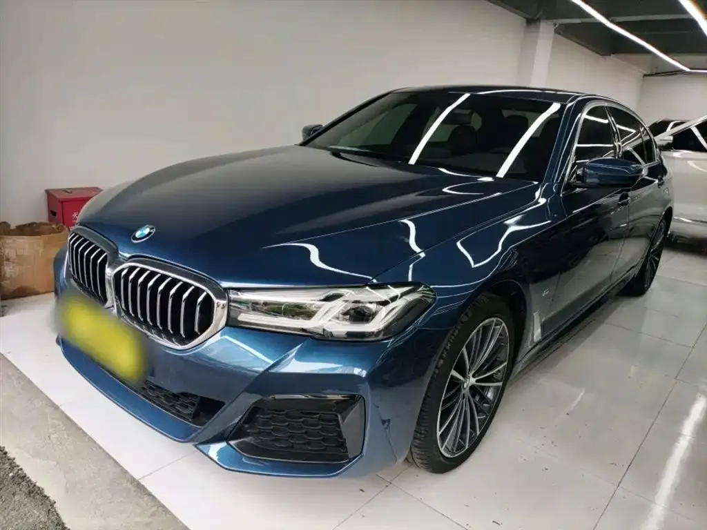 BMW 5 Series 2022 из CN, фото 5