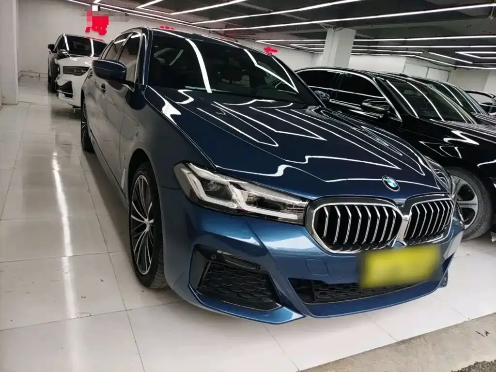 BMW 5 Series 2022 из CN, фото 6