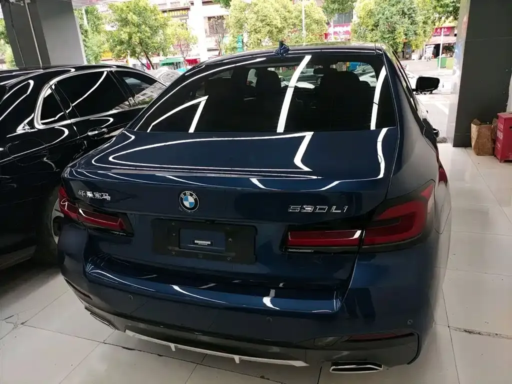 BMW 5 Series 2022 из CN, фото 7