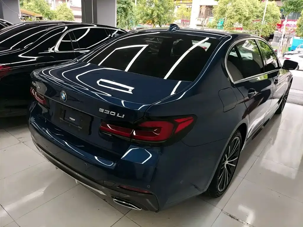 BMW 5 Series 2022 из CN, фото 8