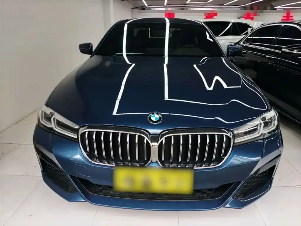 BMW 5 Series 2022 из CN, фото 9