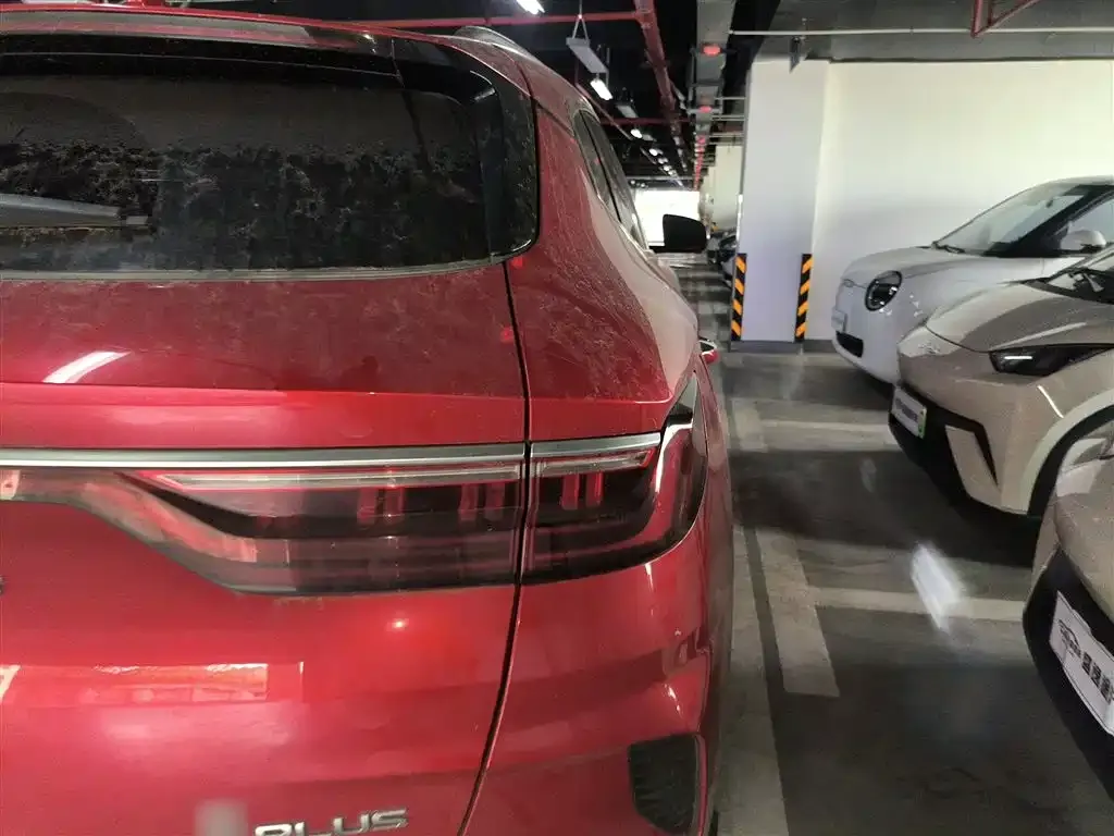 BYD PLUS New Energy 2022 из CN, фото 8