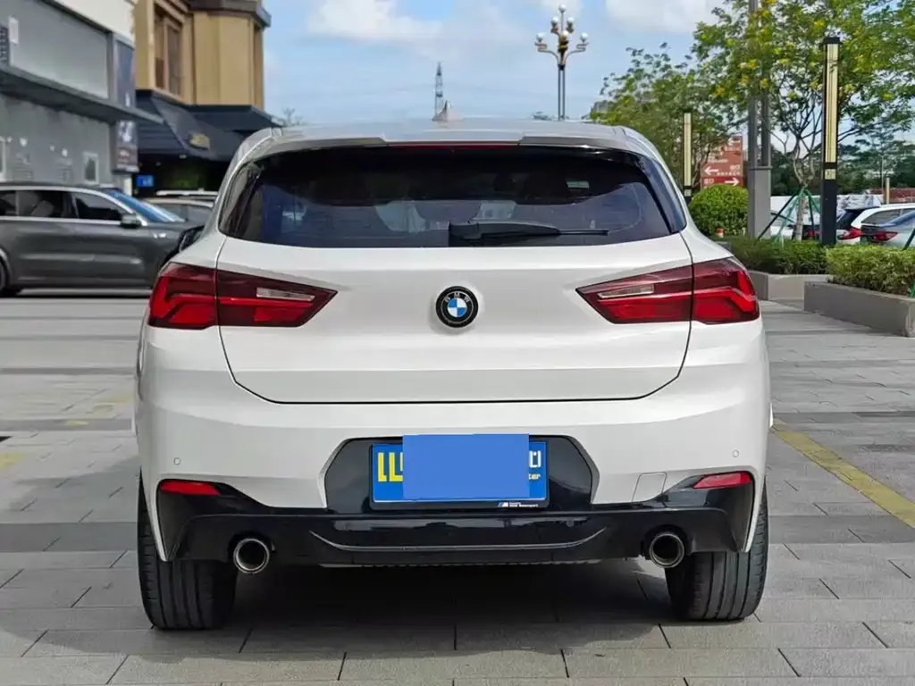 BMW X2 2021 из CN, фото 3