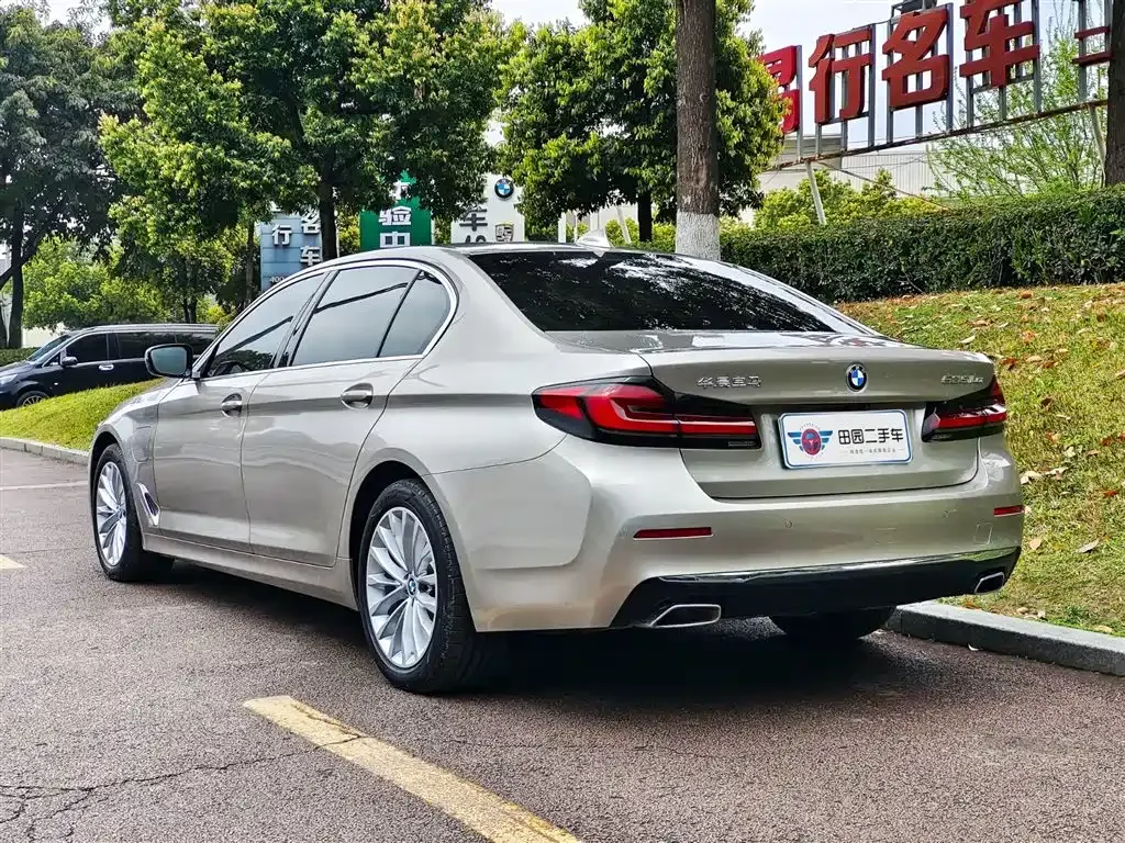 BMW 5 Series New Energy 2021 из CN, фото 4