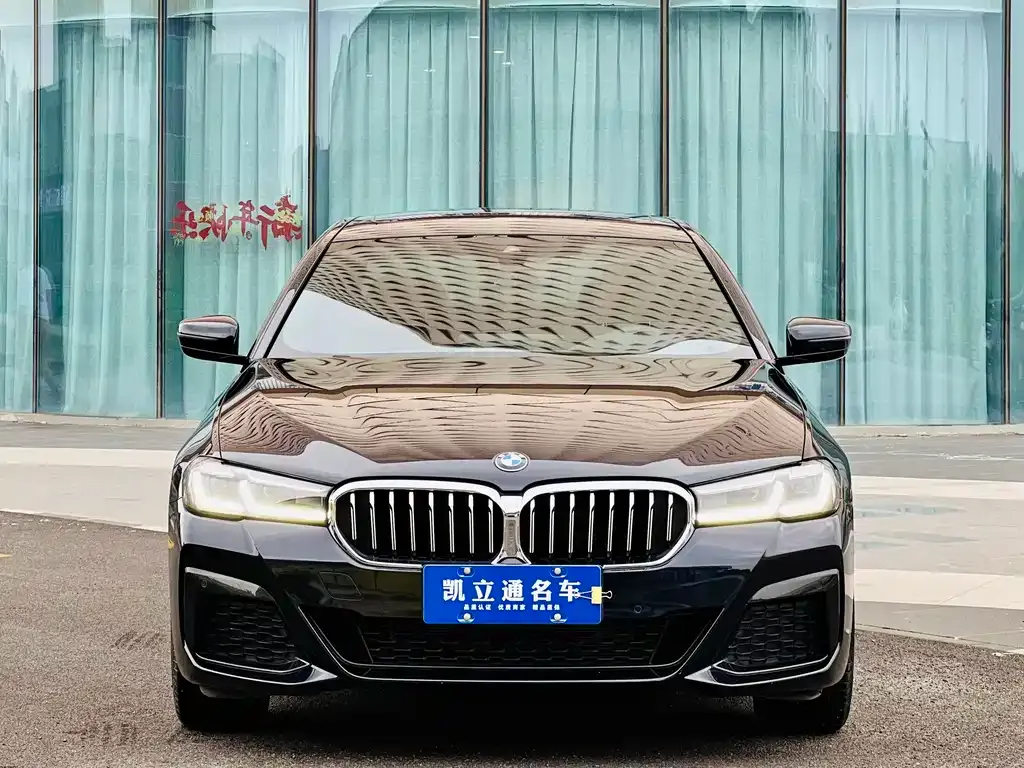 BMW 5 Series 2023 из CN, фото 2
