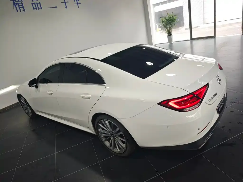 Mercedes-Benz CLS 2021 из CN, фото 8