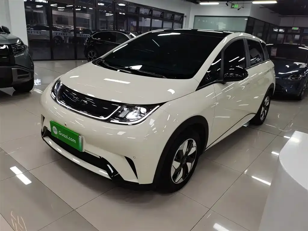 BYD Dolphin 2024 из CN, фото 1