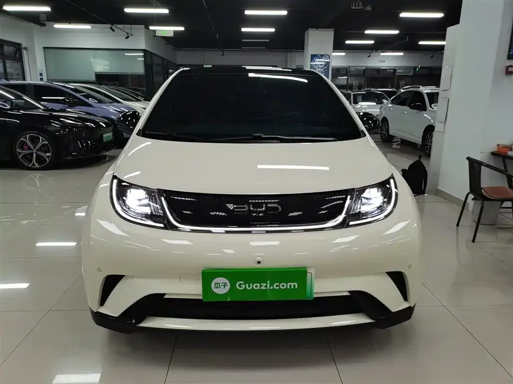 BYD Dolphin 2024 из CN, фото 3