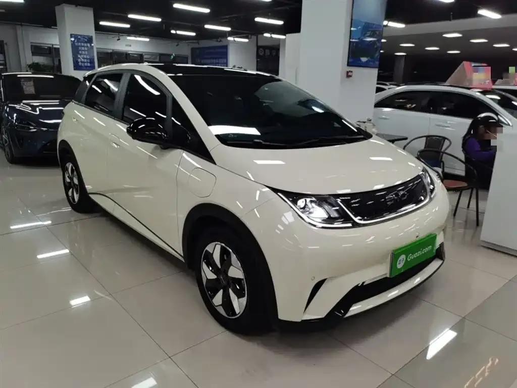 BYD Dolphin 2024 из CN, фото 4