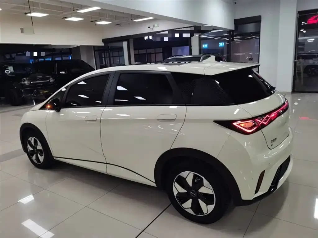 BYD Dolphin 2024 из CN, фото 5