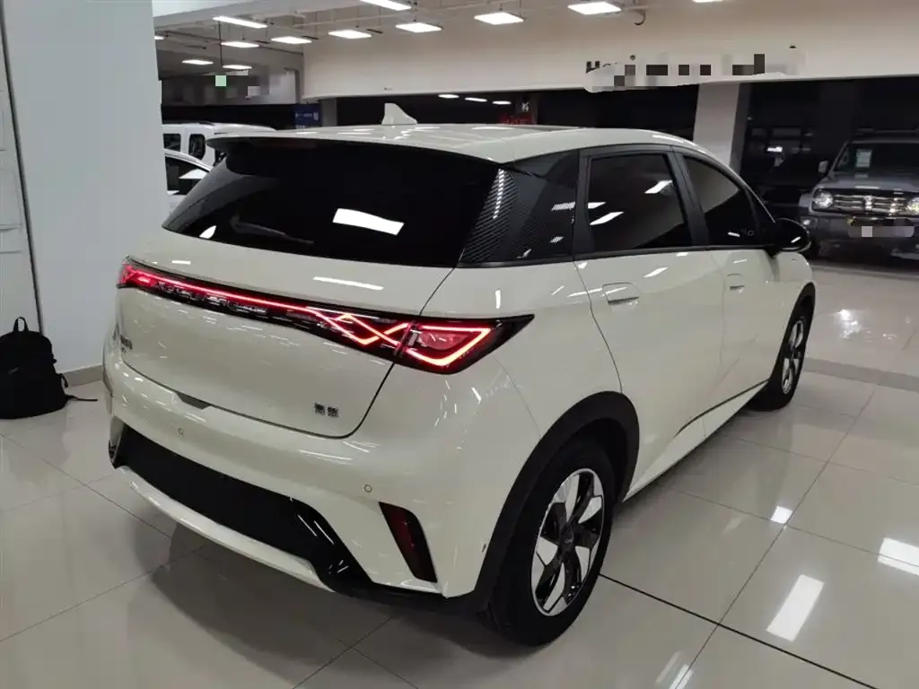 BYD Dolphin 2024 из CN, фото 7