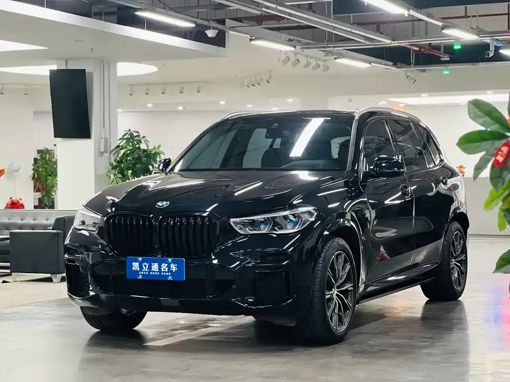 BMW X5 2023 из CN, фото 1