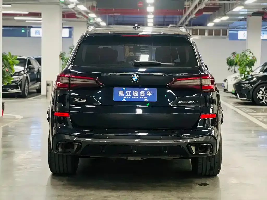 BMW X5 2023 из CN, фото 6