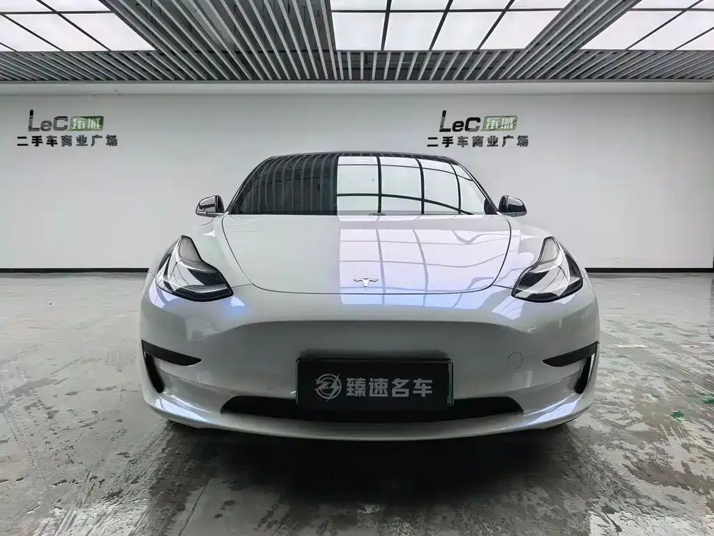 Tesla Model 3 2021 из CN, фото 2