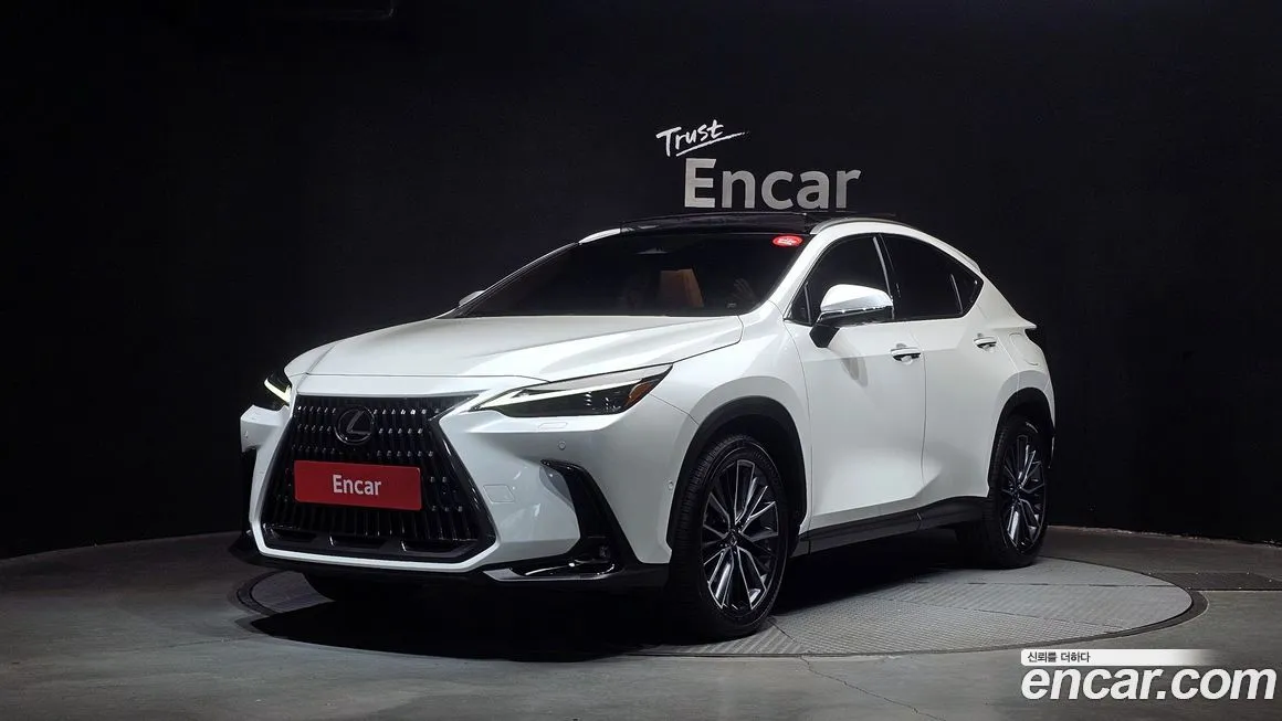 Lexus NX 2025 из KR, фото 1