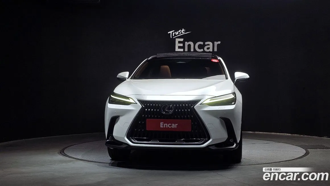 Lexus NX 2025 из KR, фото 3