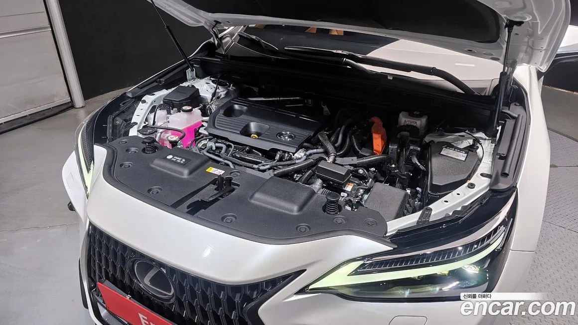 Lexus NX 2025 из KR, фото 6