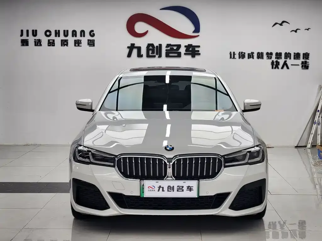 BMW 5 Series New Energy 2021 из CN, фото 1