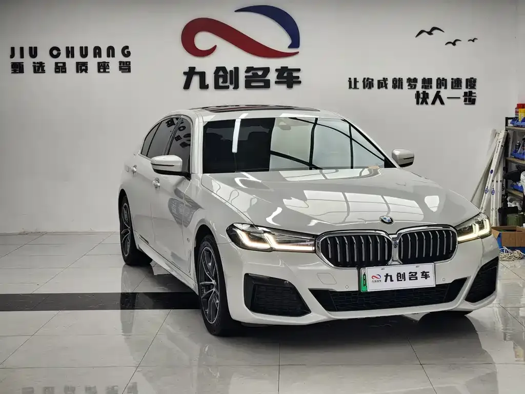 BMW 5 Series New Energy 2021 из CN, фото 2