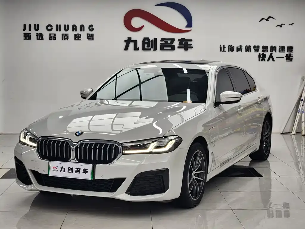 BMW 5 Series New Energy 2021 из CN, фото 3