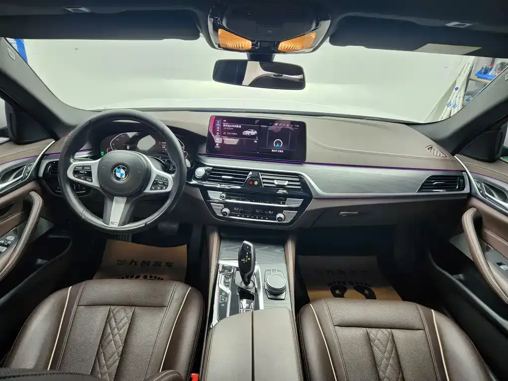 BMW 5 Series New Energy 2021 из CN, фото 9