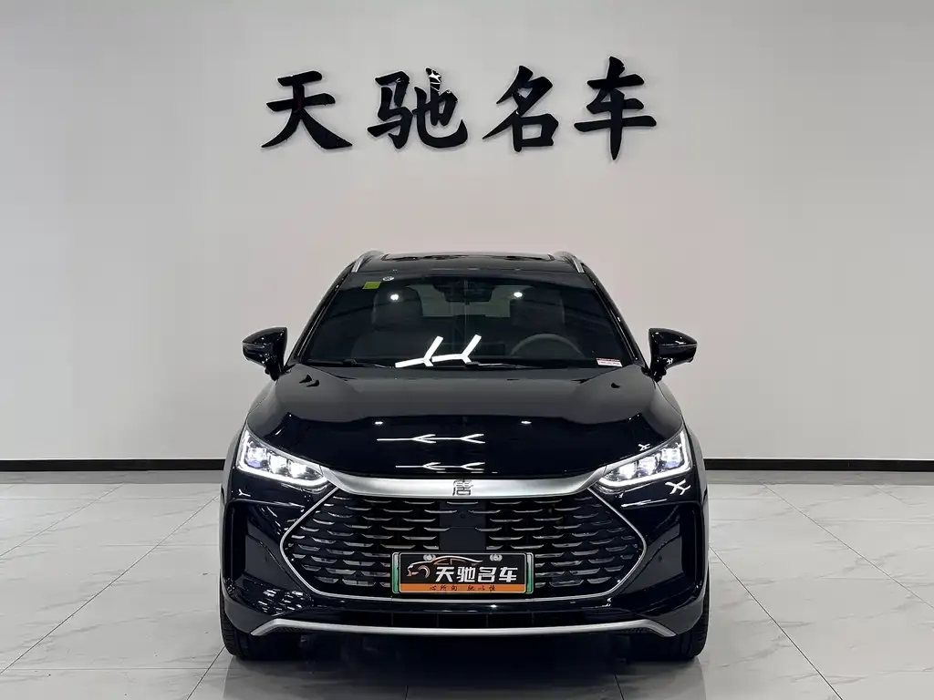 BYD Tang New Energy 2025 из CN, фото 2