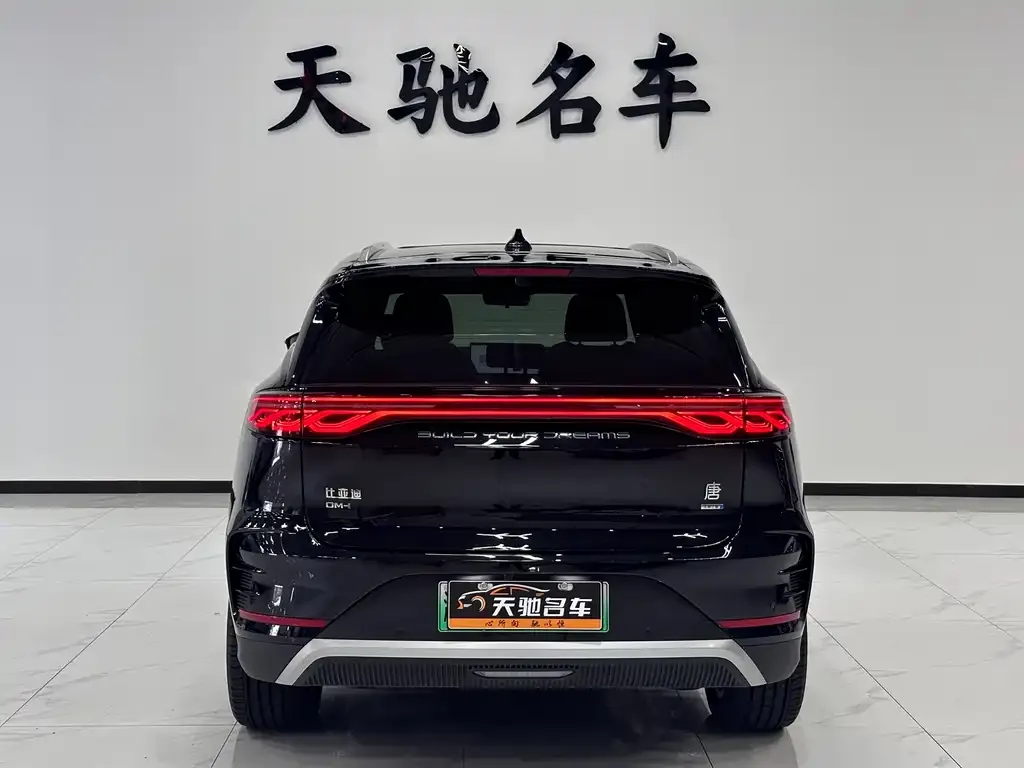 BYD Tang New Energy 2025 из CN, фото 3
