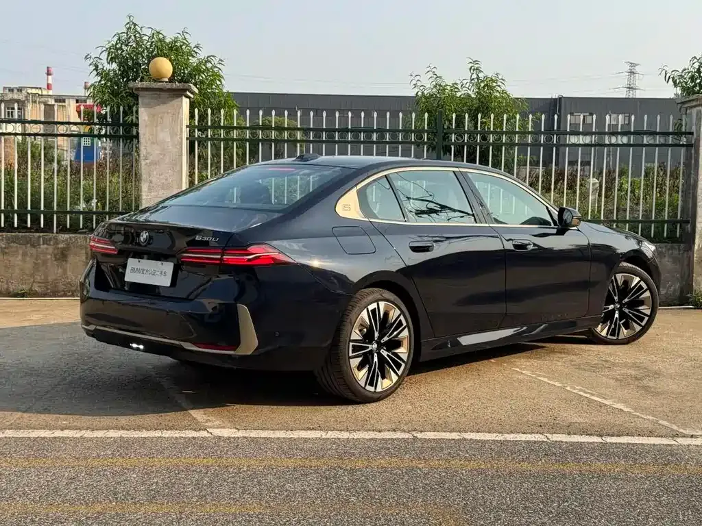 BMW 5 Series 2024 из CN, фото 4